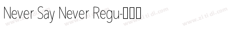 Never Say Never Regu字体转换